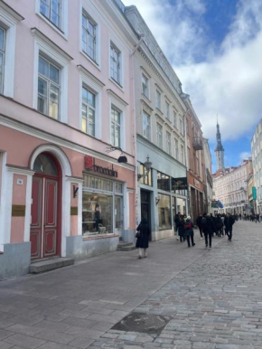 Antique Aparment In Old Town
